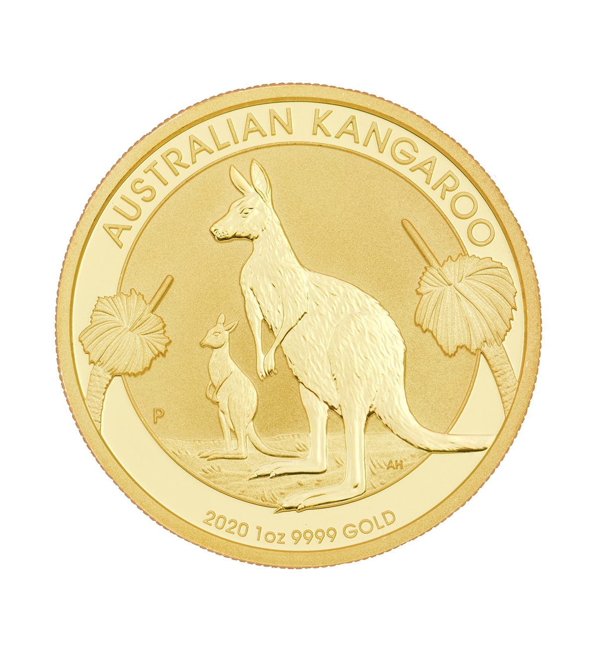 Moneda Canguro Australiano Oro 1oz 2020 cara - INVERMONEDA