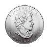 Moneda de Paladio Maple Leaf de 1 onza del 2005 CARA | INVERMONEDA