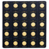Perspectiva frontal de la lámina del lote de 25 monedas de oro Maple Leaf de 1 gramo