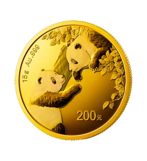 Perspectiva frontal de la cruz de la moneda de oro Panda Chino de 15 gramos de 2023