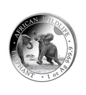 Perspectiva frontal de la cruz de la moneda de plata Elefante de Somalia de 1oz de 2024