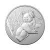 Perspectiva frontal de la moneda de plata Koala de 1oz de 2024, con el animal apoyado sobre un árbol