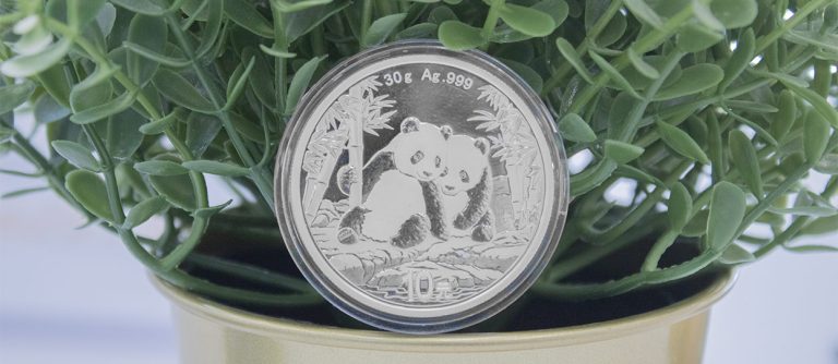 Perspectiva frontal de la moneda de plata Panda Chino junto a una planta de plástico