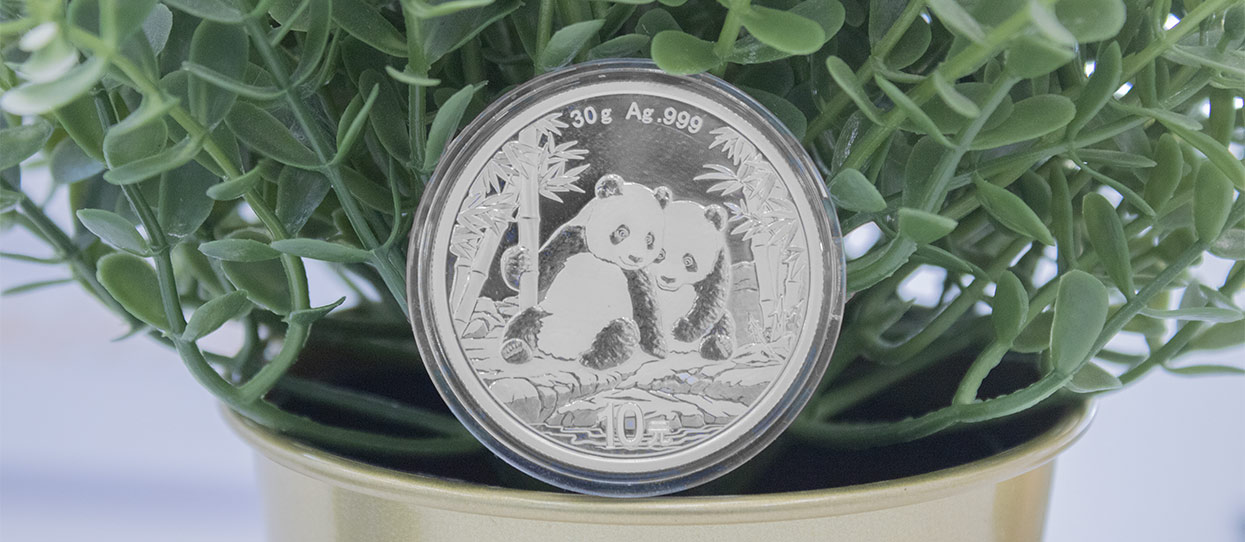 Perspectiva frontal de la moneda de plata Panda Chino junto a una planta de plástico
