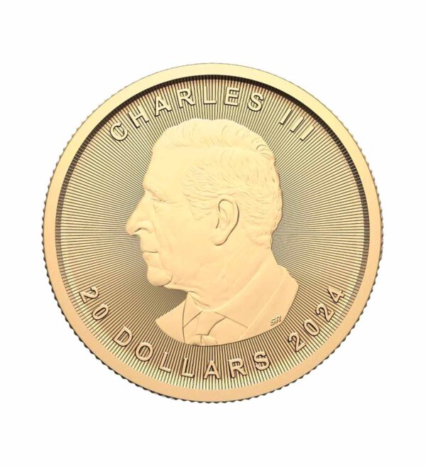 Perspectiva frontal de la cara de la moneda de oro Maple Leaf de 1/2oz de 2024, con el rostro del monarca Carlos III de perfil y con el valor nominal de la moneda