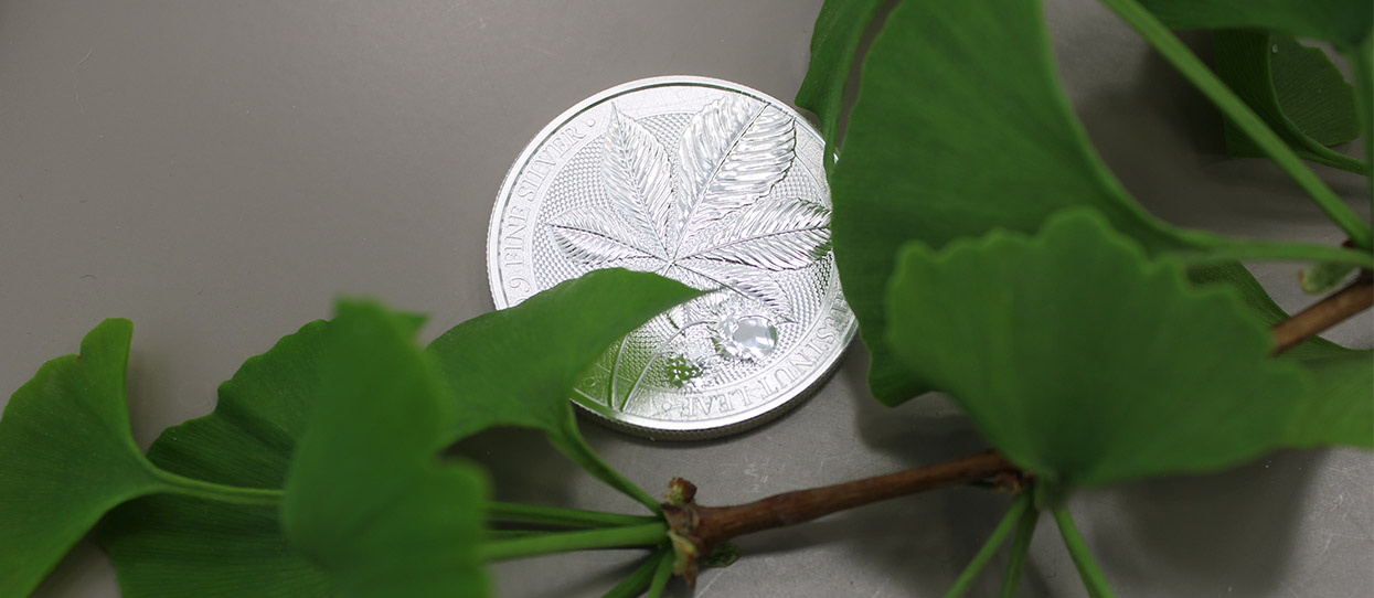 Moneda de plata Chestnut Leaf, junto a una hoja de un árbol