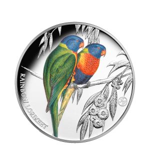 Perspectiva frontal de la cruz de la moneda de plata policromada Loro Arcoiris de 1oz de 2024, con dos especies de ave sobre una rama de árbol