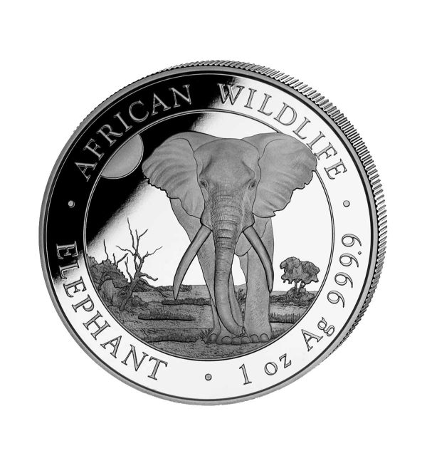 Perspectiva frontal de la cruz de la moneda de plata Elefante de Somalia de 1oz de 2025, que muestra al animal de frente.