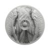 Perspectiva frontal de la cara de la moneda de plata Elefante de 1oz de 2024, que muestra medio rostro de dos elefantes con un semblante serio