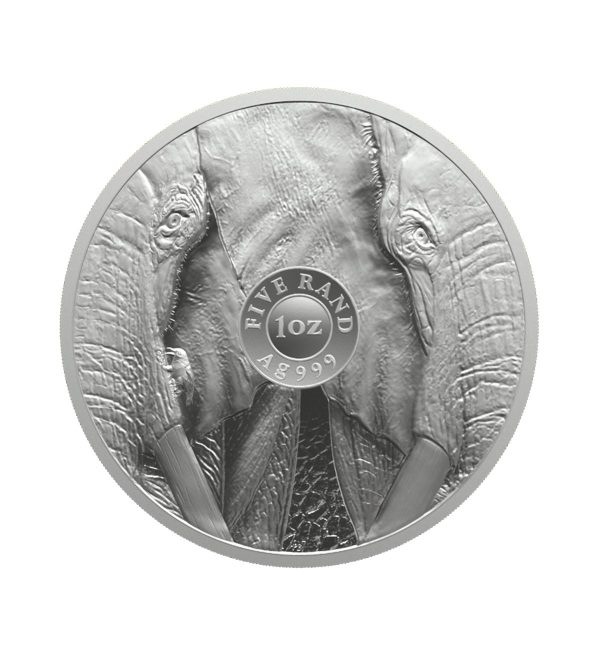 Perspectiva frontal de la cara de la moneda de plata Elefante de 1oz de 2024, que muestra medio rostro de dos elefantes con un semblante serio