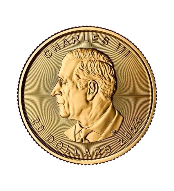 Perspectiva frontal de la cara de la moneda de oro Maple Leaf de 1/2oz de 2025, con el rostro del monarca Carlos III