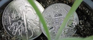 Monedas de platino Filarmónica de Viena y Rotal Arms encima de una maceta de tierra