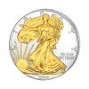 Perspectiva lateral de la cruz de la moneda de plata dorada American Eagle de 1oz de 2024, que muestra a la diosa libertad con su pelo azotado por el viento