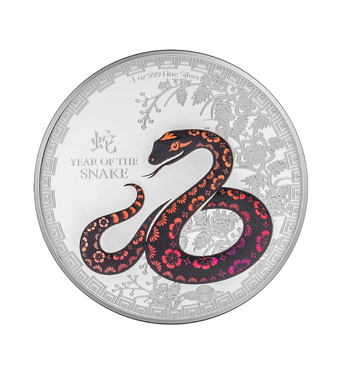 Perspectiva frontal de la moneda de plata neozelandesa Año de la Serpiente de 1oz de 2025, con el animal acuñado a color rodeado de motivos florales