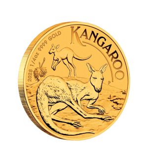 Perspectiva lateral de la moneda de oro Canguro australiano de 1⁄4oz de 2025, donde vemos a un canguro tumbado sobre el suelo y otro de fondo saltando