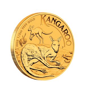 Perspectiva lateral de la moneda de oro Canguro australiano de 1⁄2oz de 2025, donde vemos a un canguro tumbado sobre el suelo y otro de fondo saltando