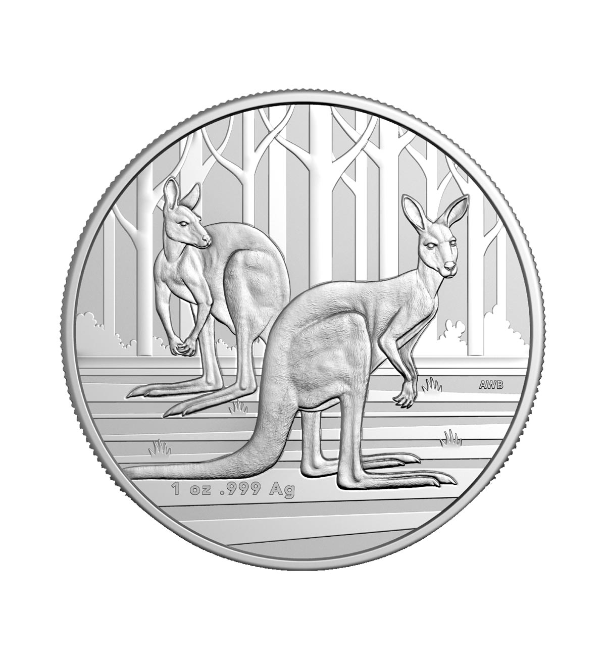 Perspectiva frontal de la cruz de la moneda de plata Canguro de 1oz de 2024, que muestra una preciosa escena con dos canguros en un entorno natural