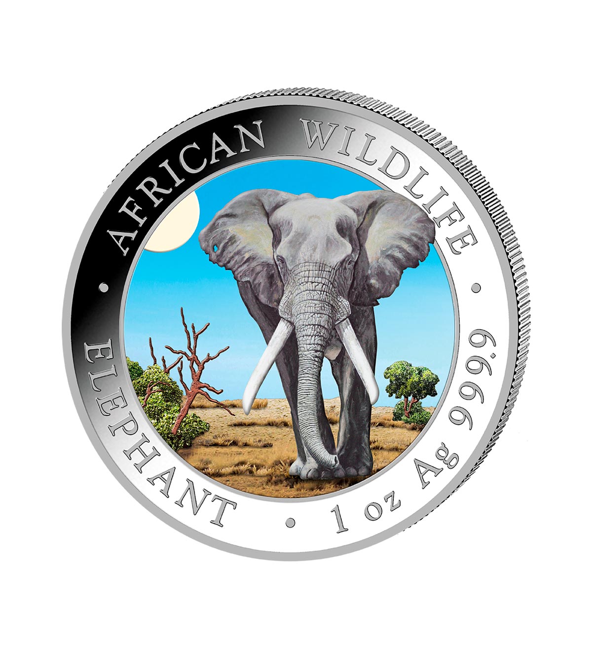 Perspectiva frontal de la cruz de la moneda de plata policromada Elefante de Somalia de 1oz de 2024, que muestra al elefante en un terreno árido