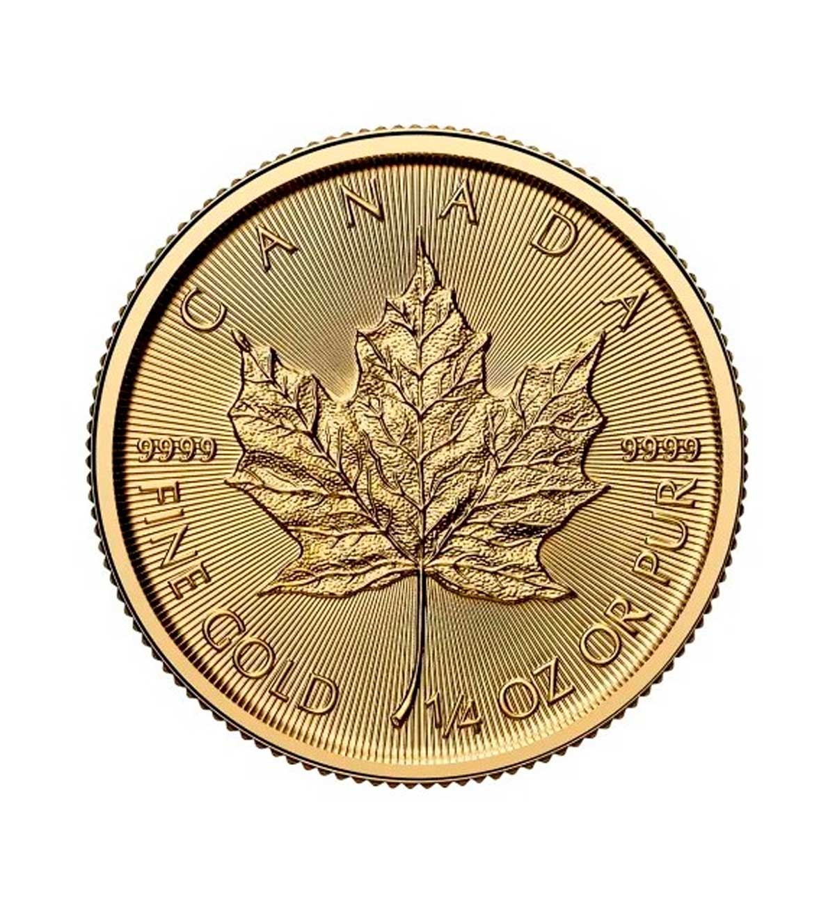 Perspectiva frontal de la cruz de la moneda de oro Maple Leaf de 1/4oz de 2025, con la hoja de arce en el centro de la pieza