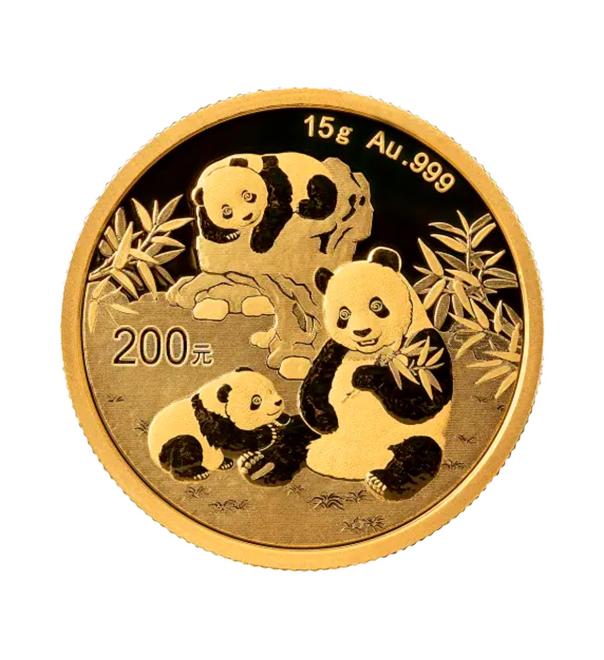 Perspectiva frontal ded la cruz de la moneda de oro Panda Chino de 15gr de 2025, que muestra a 3 animales comiendo hierbas