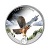 Moneda Halcón peregrino Plata Policromada 1 oz 2024 - Worlds Wildlife