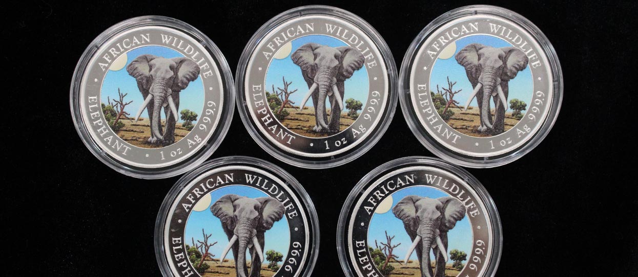 Moneda de plata Koala del 2024, sobre una escultura de una hoja