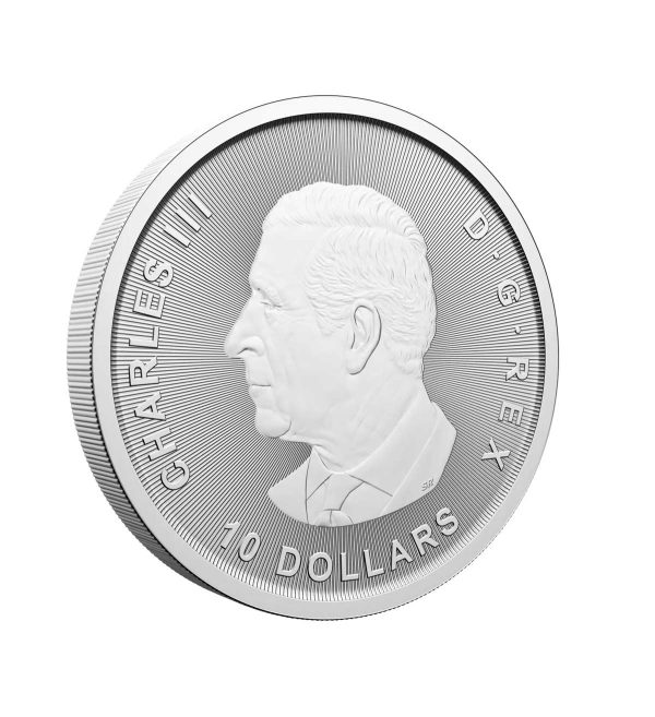Perspectiva lateral de la cara de la moneda de plata Ganso de 2oz de 2025, que muestra el rostro del monarca Carlos III