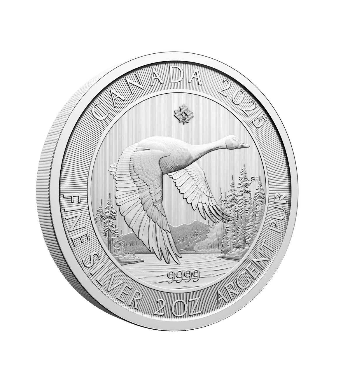 Perspectiva frontal de la cruz de la moneda de plata Ganso de 1oz de 2025, que nos muestra al animal sobrevolando un pequeño lago