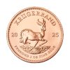 Perspectiva frontal de la moneda de oro Krugerrand de 1oz de 2025, con el diseño del Antílope y el año de emisión