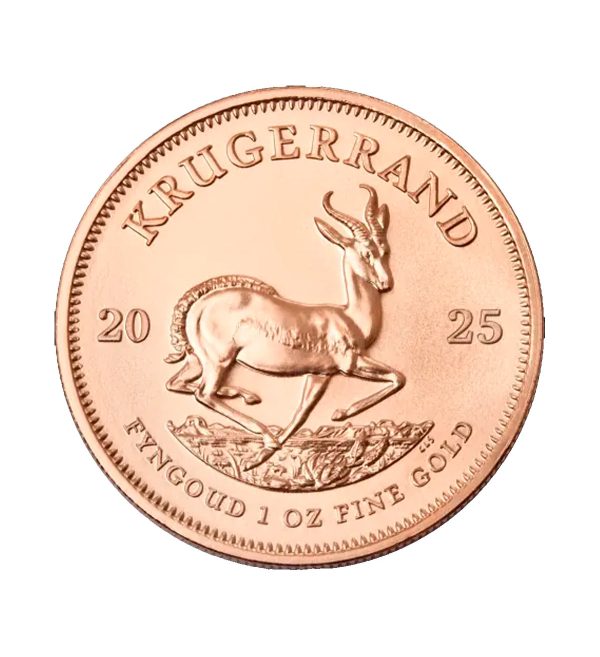 Perspectiva frontal de la moneda de oro Krugerrand de 1oz de 2025, con el diseño del Antílope y el año de emisión