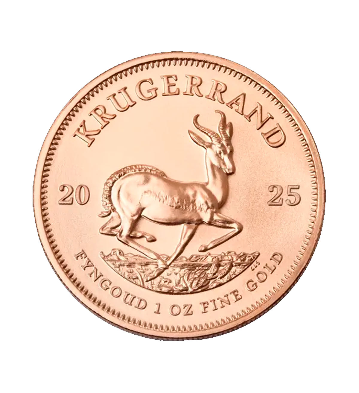 Perspectiva frontal de la moneda de oro Krugerrand de 1oz de 2025, con el diseño del Antílope y el año de emisión