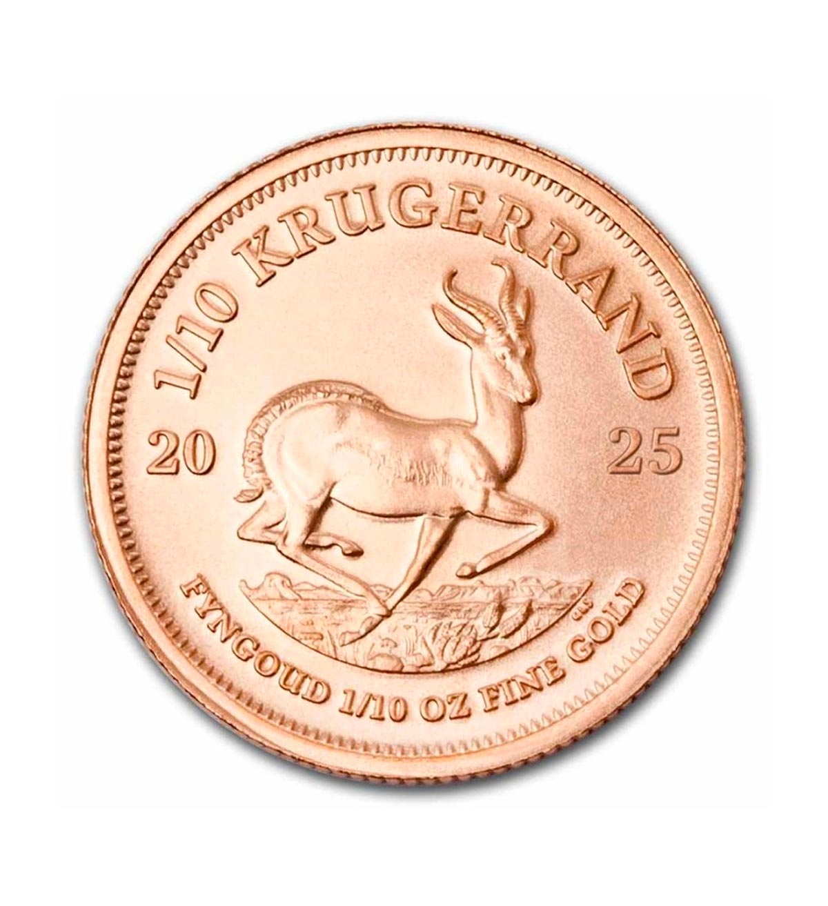 Perspectiva frontal de la cruz de la moneda de oro Krugerrand de 1/10oz de 2025, con la imagen del antílope