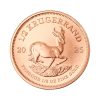 Perspectiva frontal de la cruz de la moneda de oro Krugerrand de 1/2oz de oro de 2025, con la imagen del Antílope