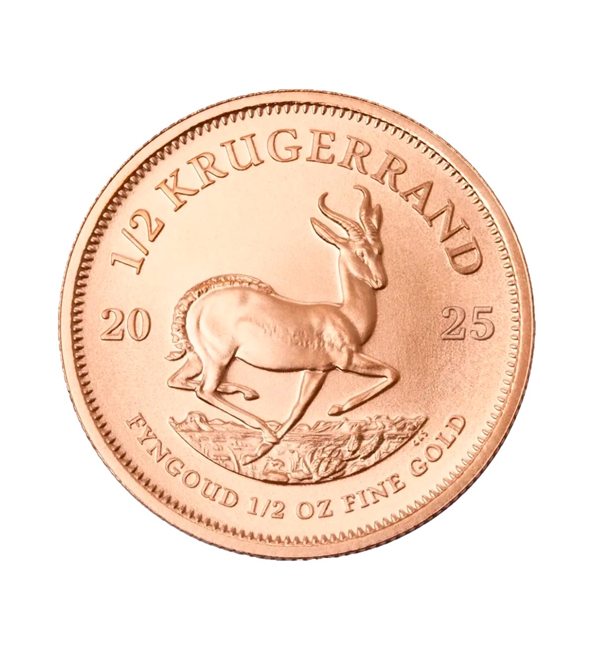 Perspectiva frontal de la cruz de la moneda de oro Krugerrand de 1/2oz de oro de 2025, con la imagen del Antílope