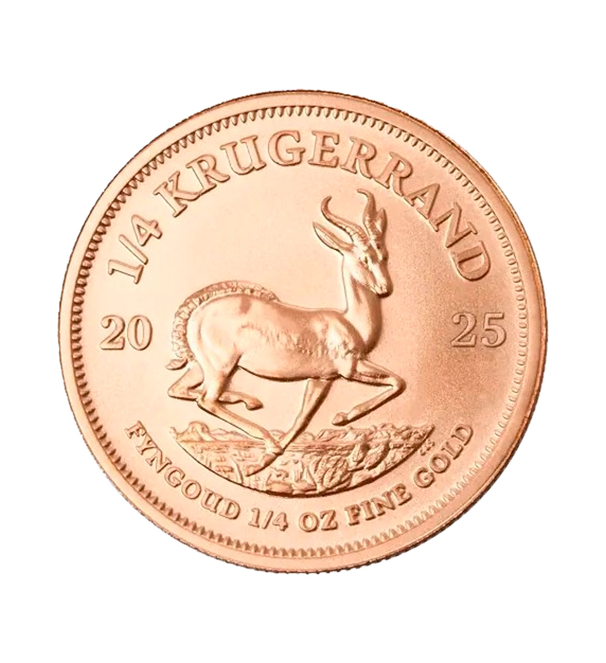 Perspectiva frontal de la cruz de la moneda de oro Krugerrand de 1/4oz de oro de 2025, con la imagen del Antílope