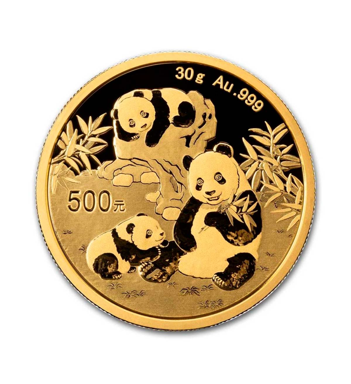 Perspectiva frontal de la moneda de oro Panda Chino de 30gr de 2025, que muestra a una familia de osos en un entorno salvaje