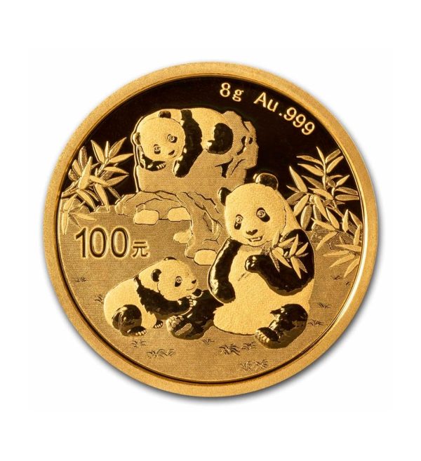 Perspectiva frontal de la cruz de la moneda de oro Panda China de 8gr de 2025, que muestra a una familia de pandas en un entorno natural rodeado de bambús