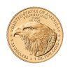 Perspectiva frontal de la cara de la moneda de oro American Eagle de 1oz de 2025, que muestra el rostro del ave