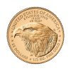 Perspectiva frontal de la cara de la moneda de oro American Eagle de 1/2oz de 2025, que muestra al ave de perfil