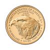Perspectiva frontal de la cara de la moneda de oro American Eagle de 1/4oz de 2025, con el rostro del ave como principal protagonista