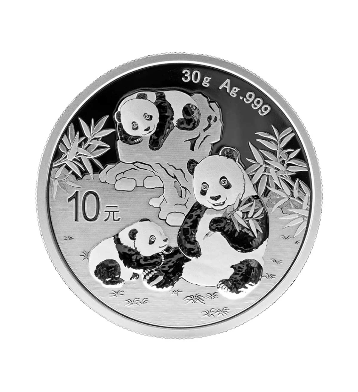 Perspectiva frontal de la cruz de la moneda de plata Panda Chino de 30gr de 2025, que muestra a tres osos compartiendo alimento en una pradera