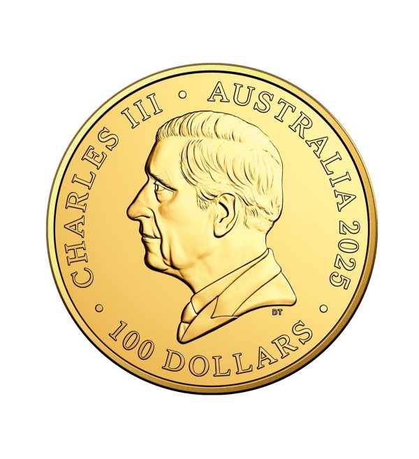 Perspectiva frontal de la cara de la moneda de oro Koala Australiano de 1oz de 2025, que muestra el rostro del monarca Carlos III