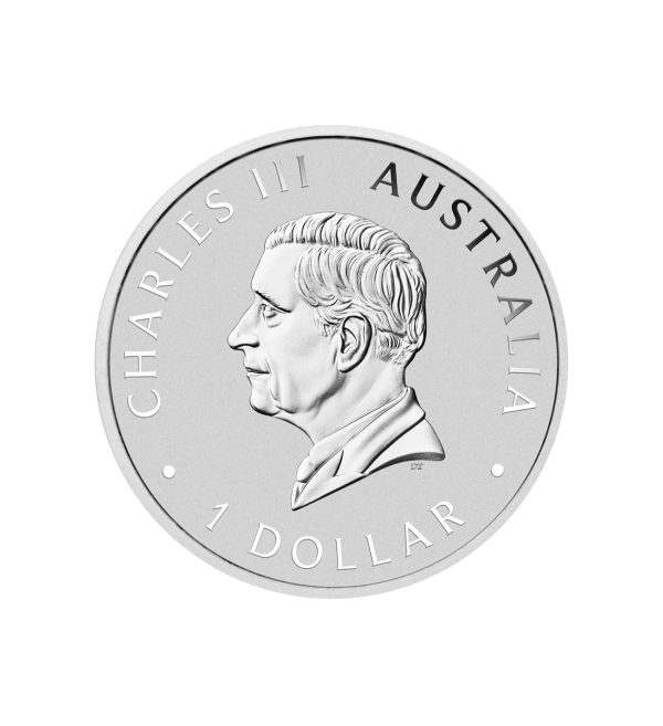 Perspectiva frontal de la cara de la moneda de plata Koala de 1oz de 2025, que muestra el rostro del monarca Carlos III
