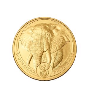 Perspectiva frontal de la cruz de la moneda de oro Elefante de 1oz de 2025, que muestra al animal casi de cuerpo entero a excepción de sus piernas
