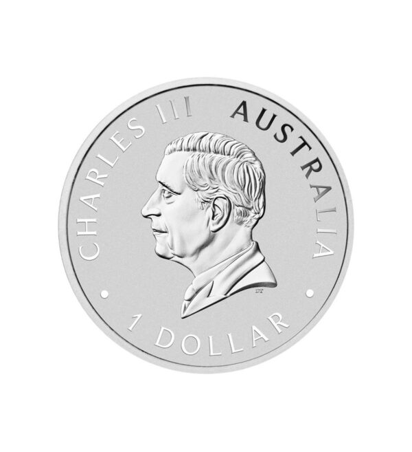 Perspectiva frontal de la cara de la moneda de plata Cisne de 1oz de 2025, que presenta el rostro del monarca Carlos III sobre un fondo plano