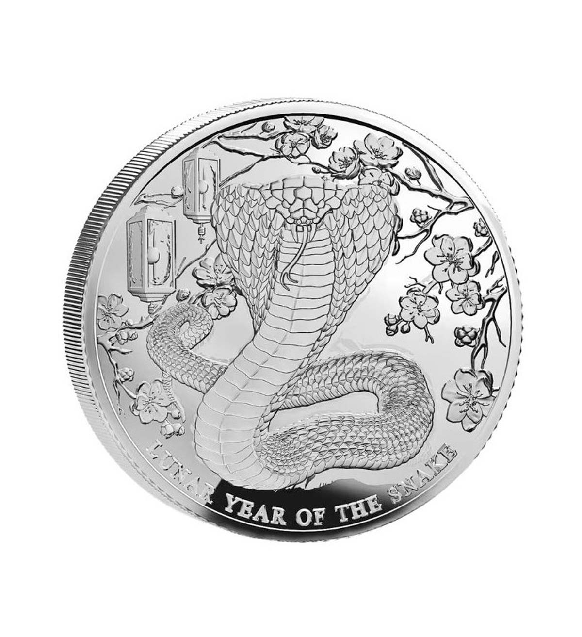 Perspectiva frontal de la moneda de plata Año de la Serpiente de Islas Pitcairn de 1oz de 2025, que muestra al animal rodeado de objetos decorativos de la cultura china