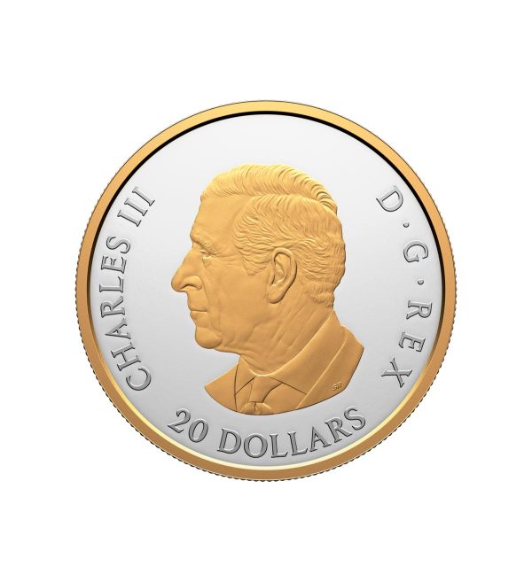 Perspectiva frontal de la cara de la moneda de plata dorada oso polar de 1oz de 2025, que muestra el rostro del monarca Carlos III