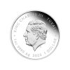 Moneda Raphael Plata Policromada 1 oz 2025 — Tortugas Ninja