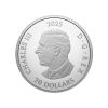 Perspectiva frontal de la cara de la moneda de plata Triple Maple Leaf de 1oz de 2025, que muestra el rostro del monarca Carlos III