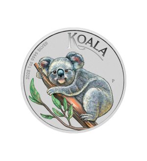 Perspectiva frontal de la cruz de la moneda de plata policromada Koala de 1oz de 2025, que muestra el animal a color posado sobre un árbol.